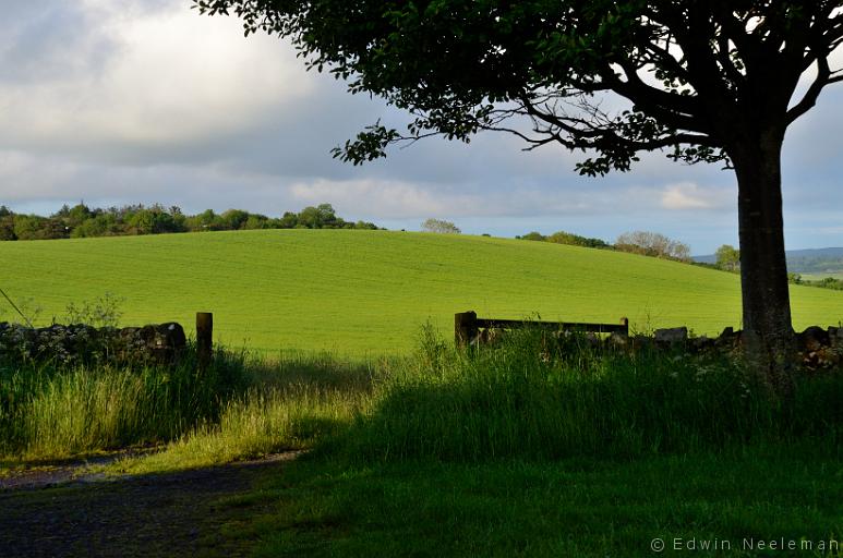 ENE-20120613-0242.jpg - y, Northumberland, Engeland[en] Budle Bay, Northumberland, England